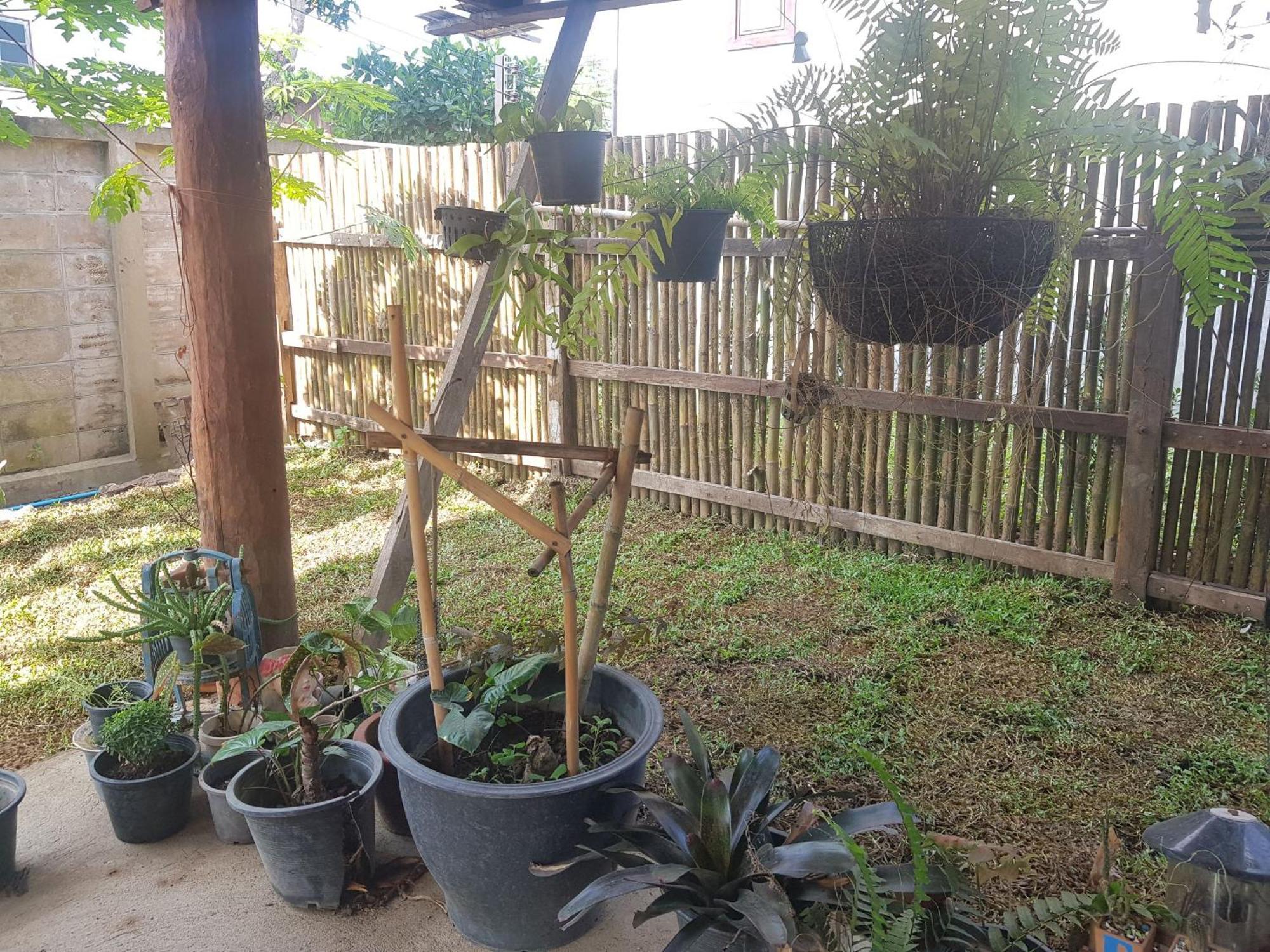 Kedthawa Homestay เฮือนเก็ดถะหวา Ban Cho Lae Ngoại thất bức ảnh