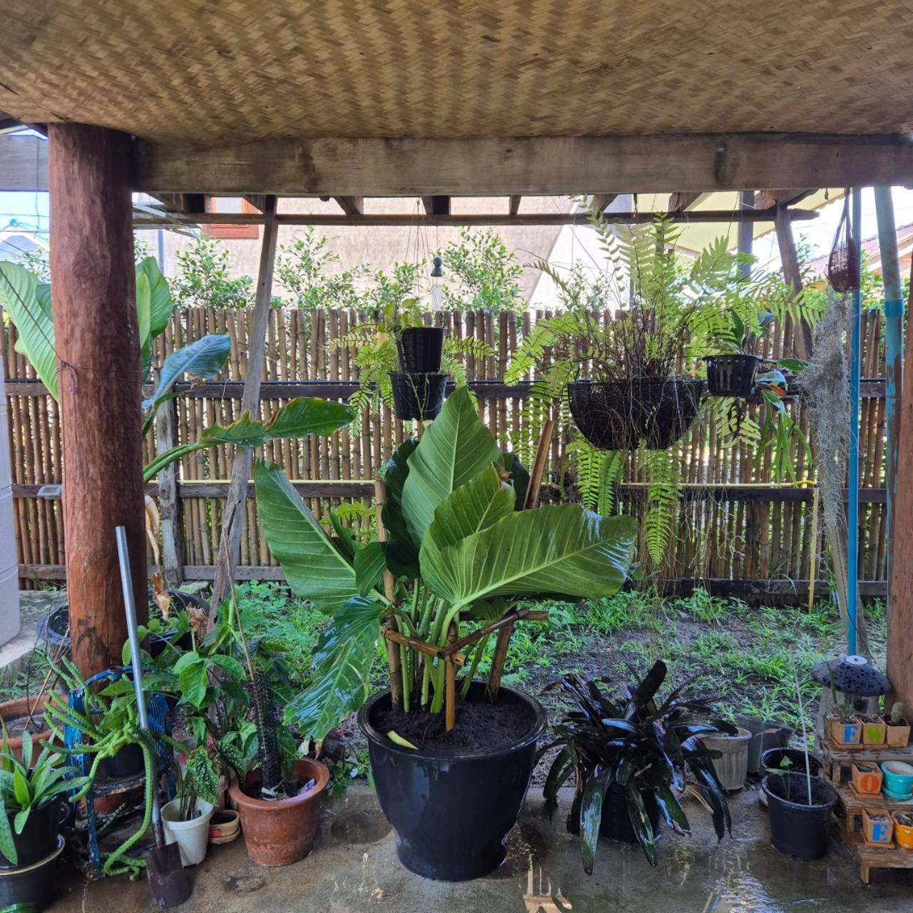 Kedthawa Homestay เฮือนเก็ดถะหวา Ban Cho Lae Ngoại thất bức ảnh